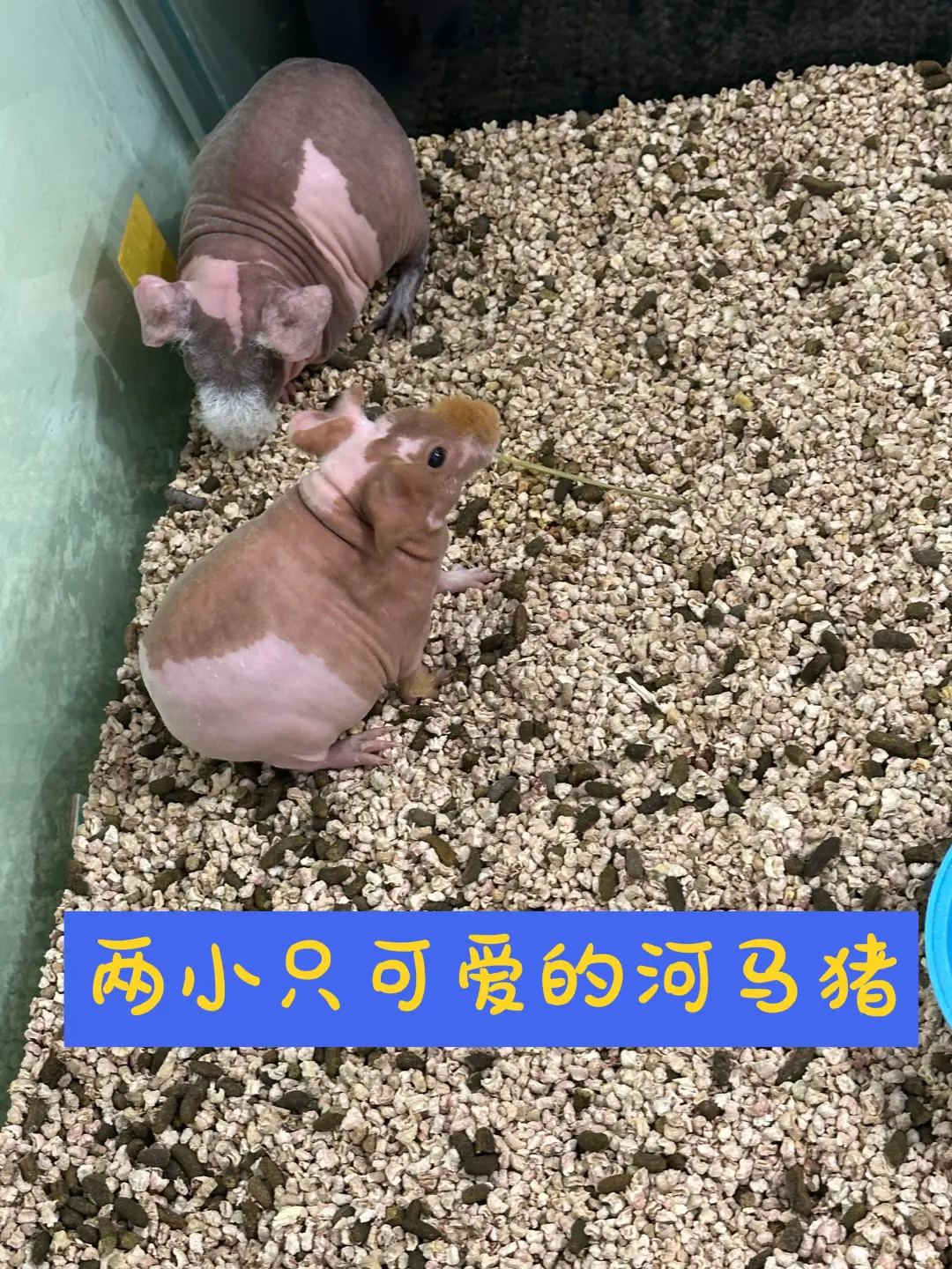 ֻСɰ˭֪ʲô