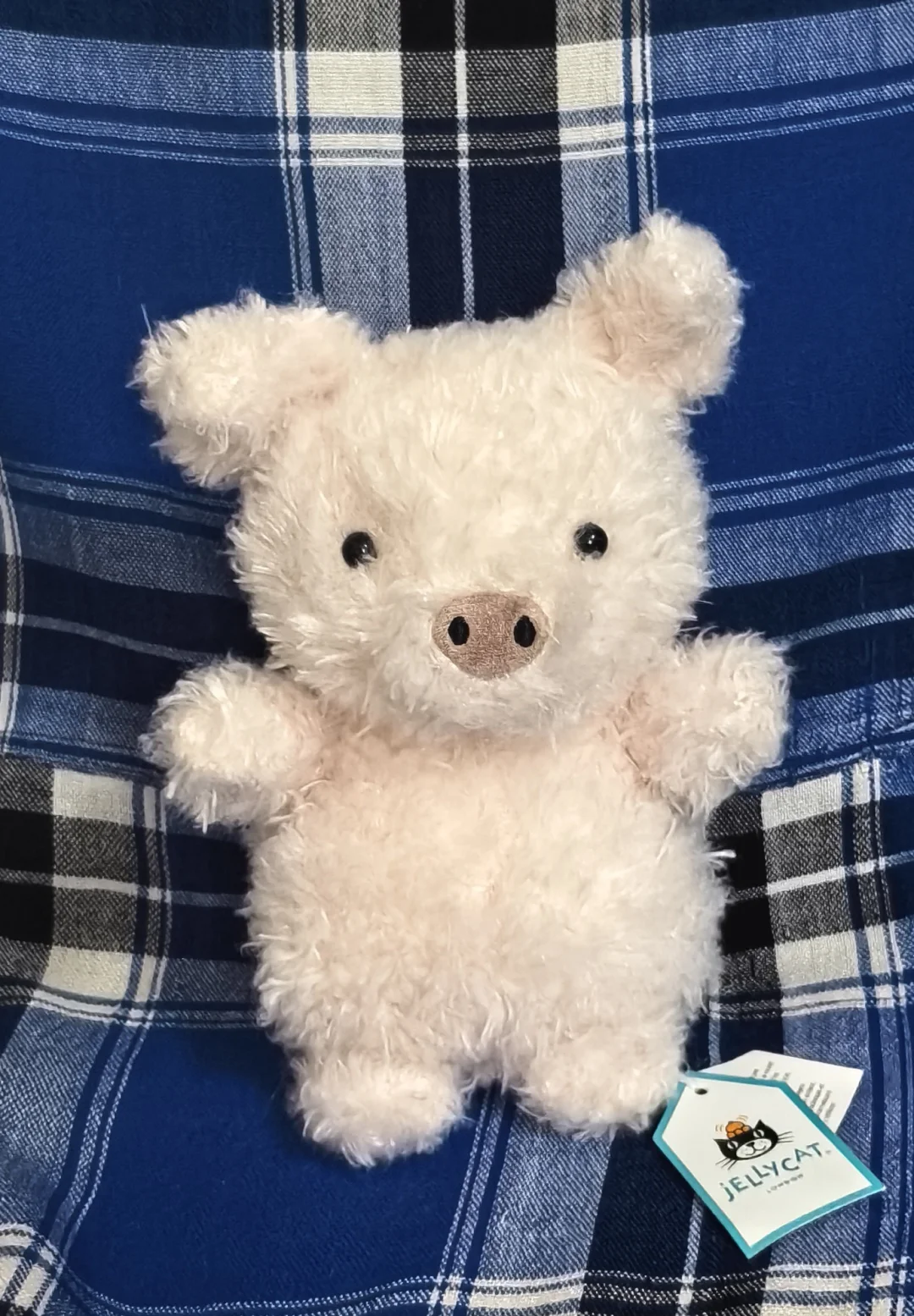 jellycatlittle pigԱ
