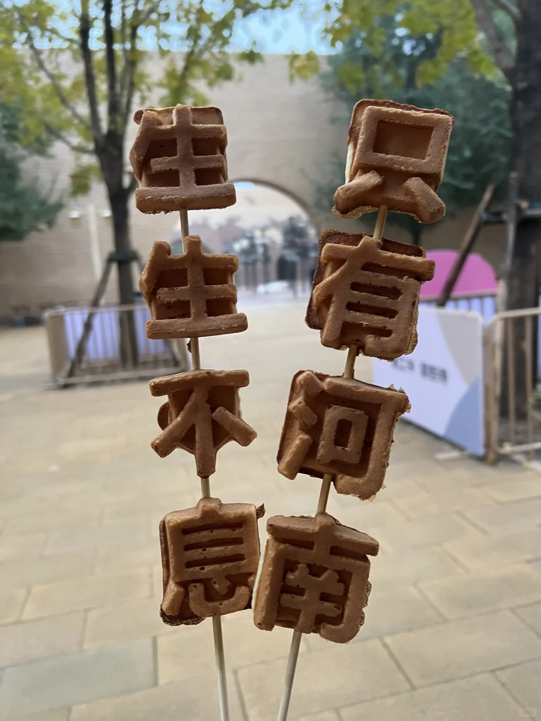 ҹῴֻкϵļֶ
