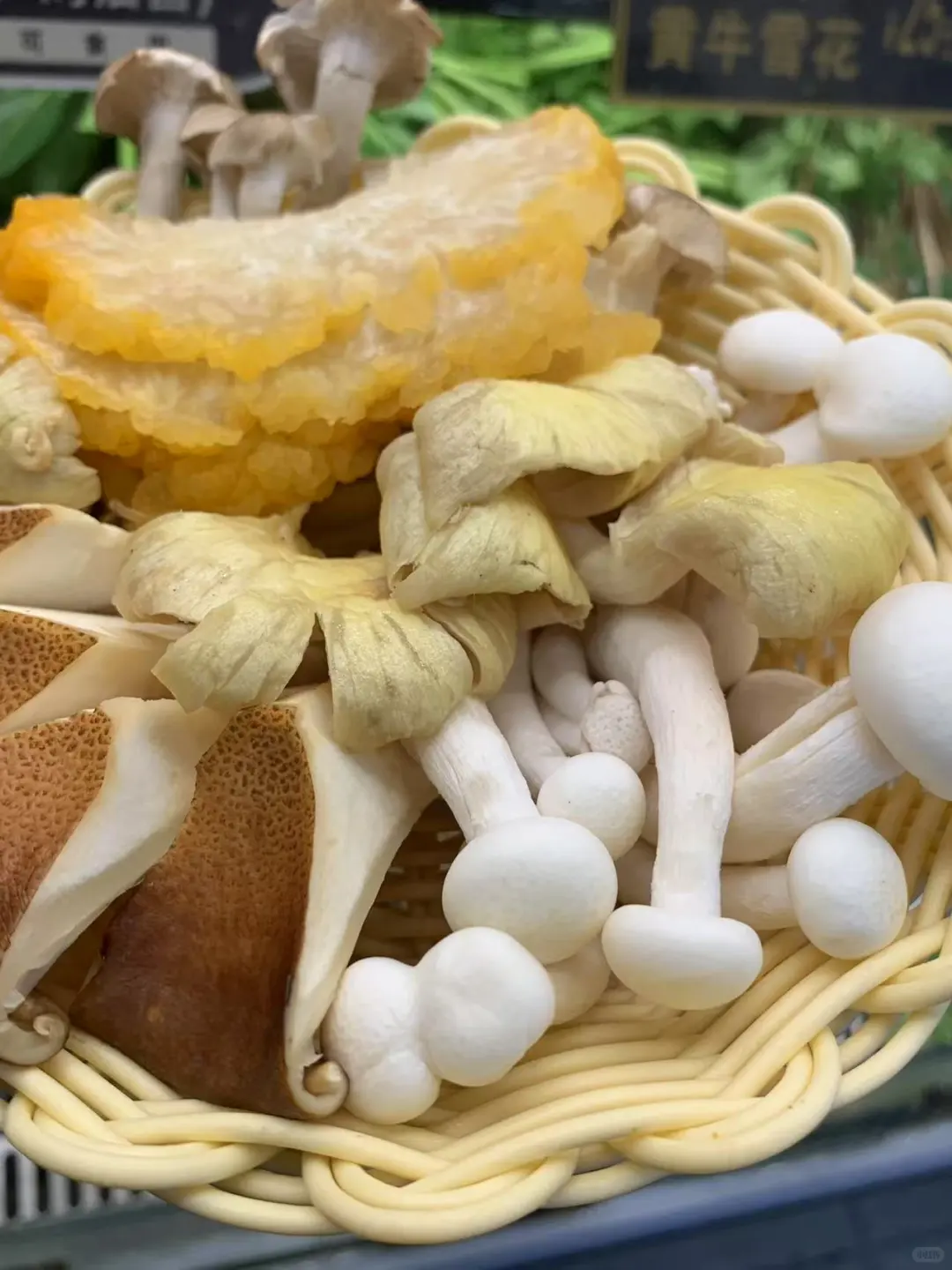 贵阳风情清水烫,闺蜜小聚新据点