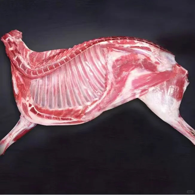 ⣬Ƽĸλѽ