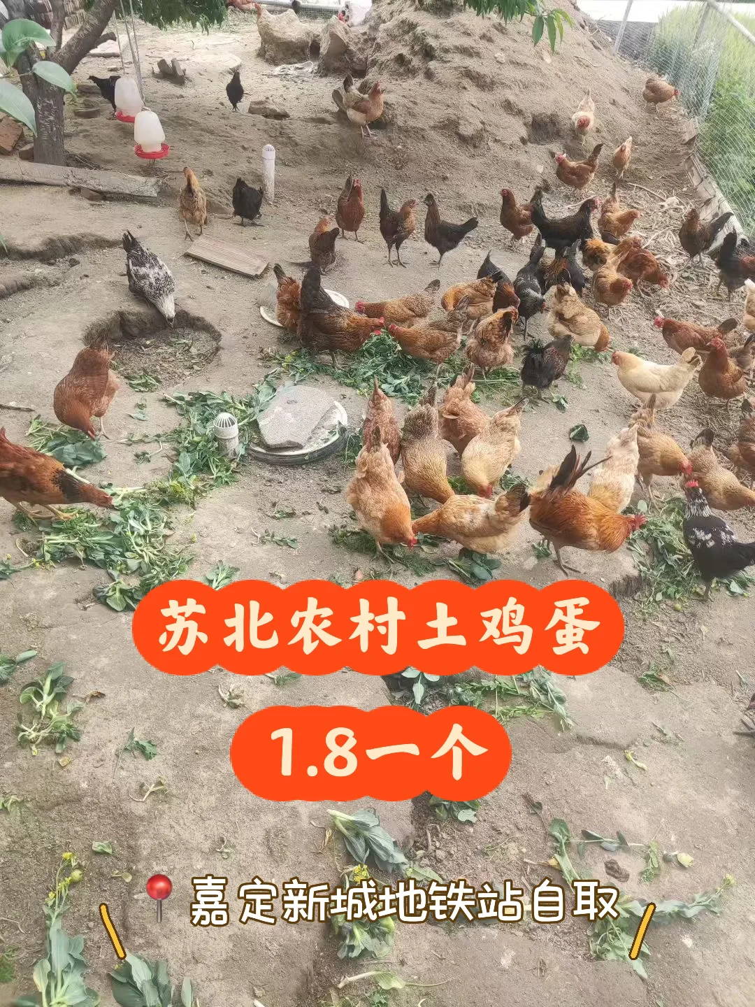 ձũ 1.8һ ?ζ³ȡ