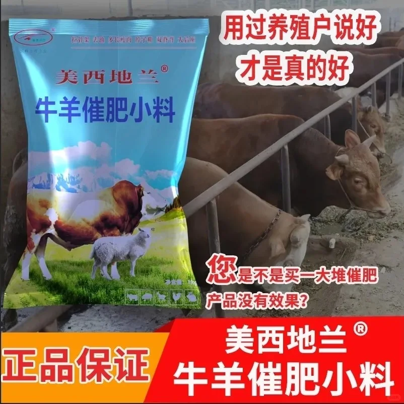 ţϴ߷ʿٹǼܴ쳤ר
