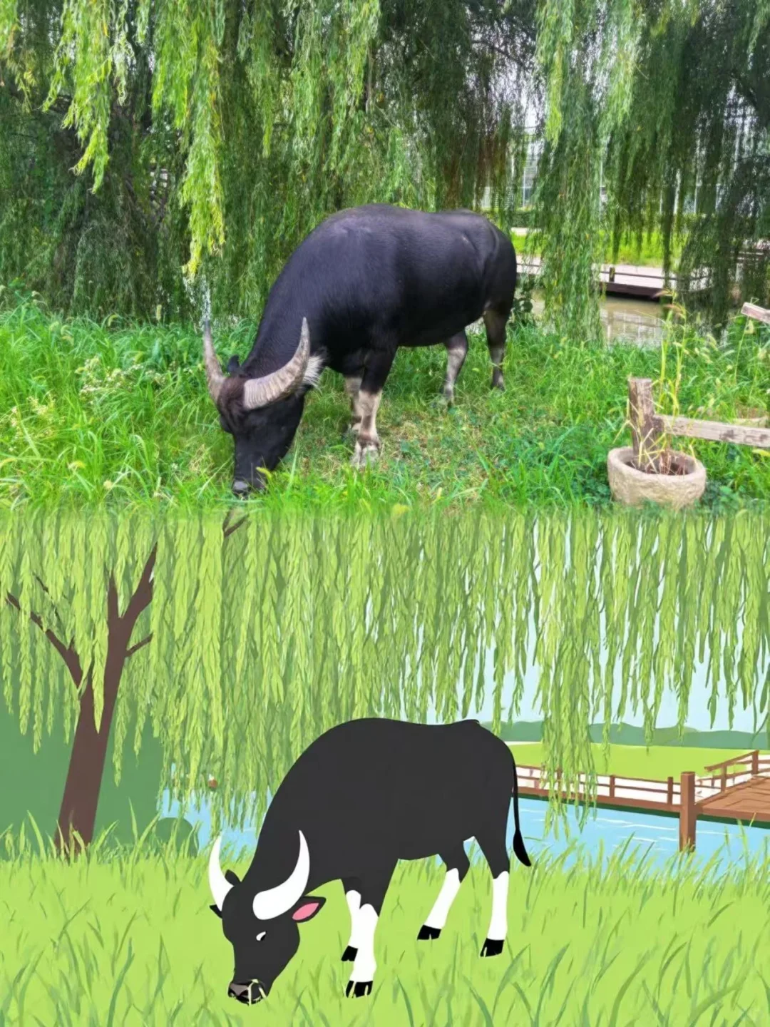 ţĵһ꣬ˣ??
