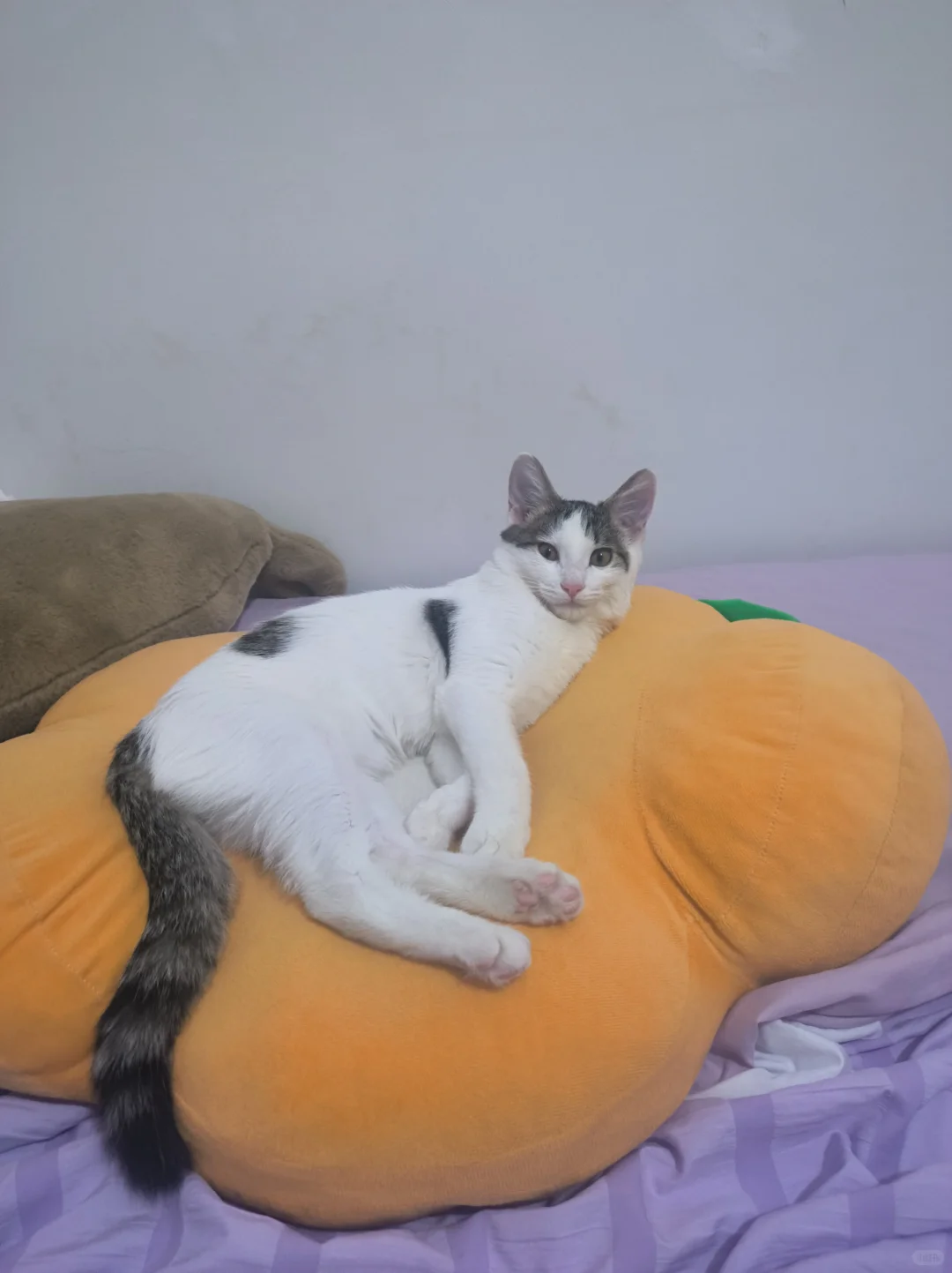 ÿèͻѶǮ