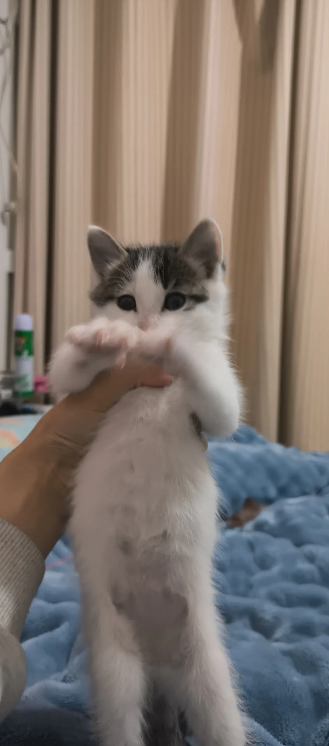ÿèͻѶǮ