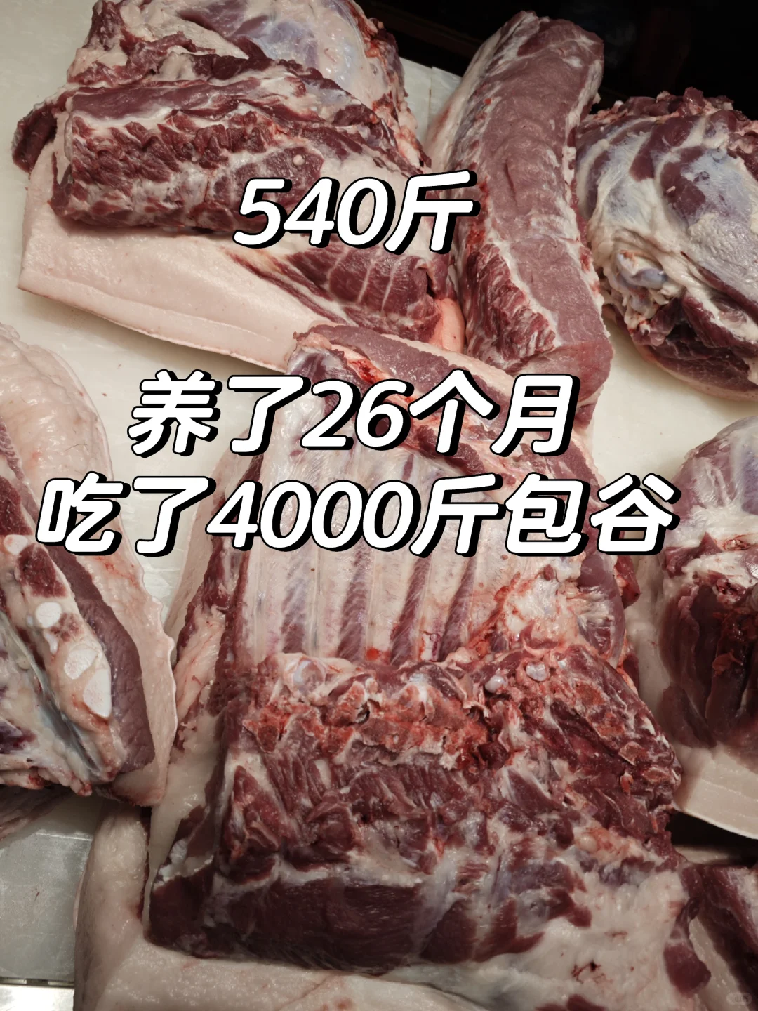54026£4000