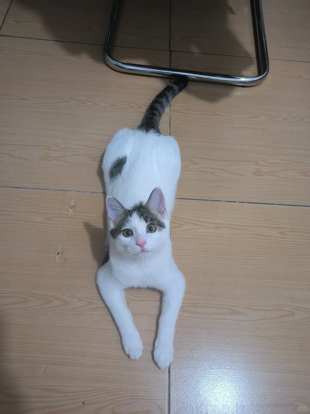 ÿèͻѶǮ