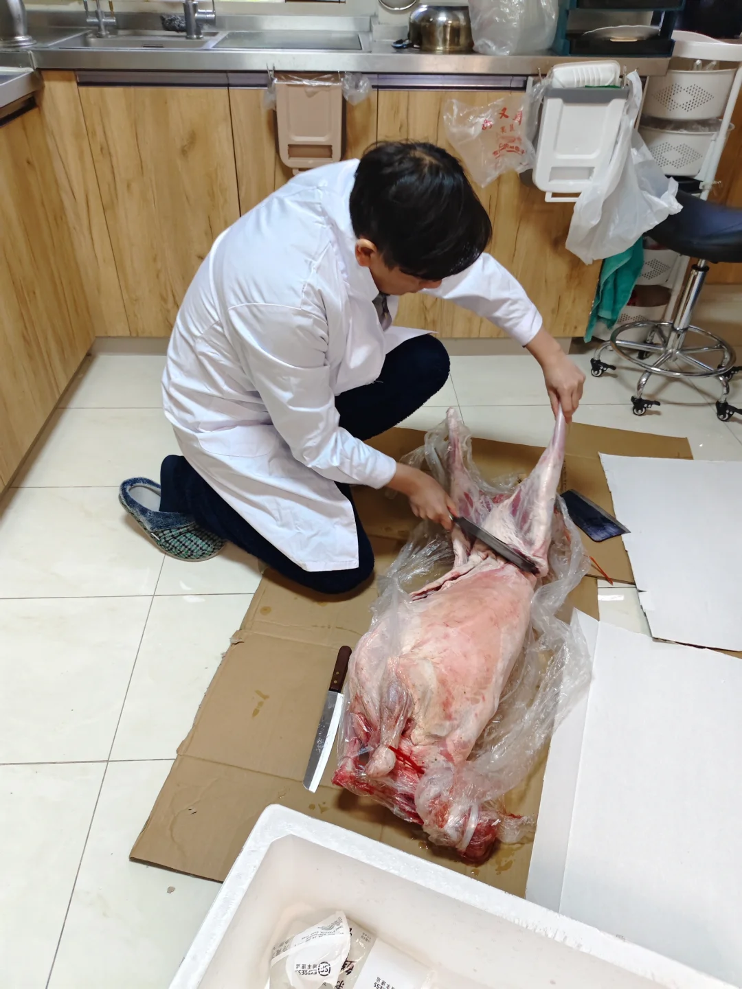 Լֽ