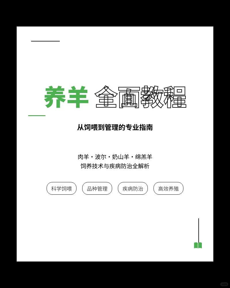 养羊技术教程:养殖管理与疾病防治
