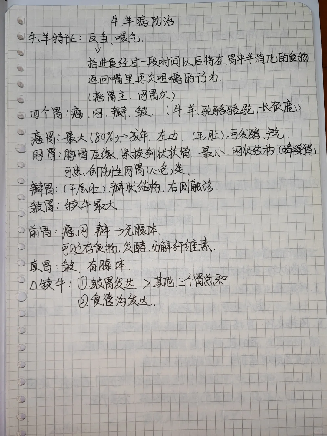 ţ򲡷
