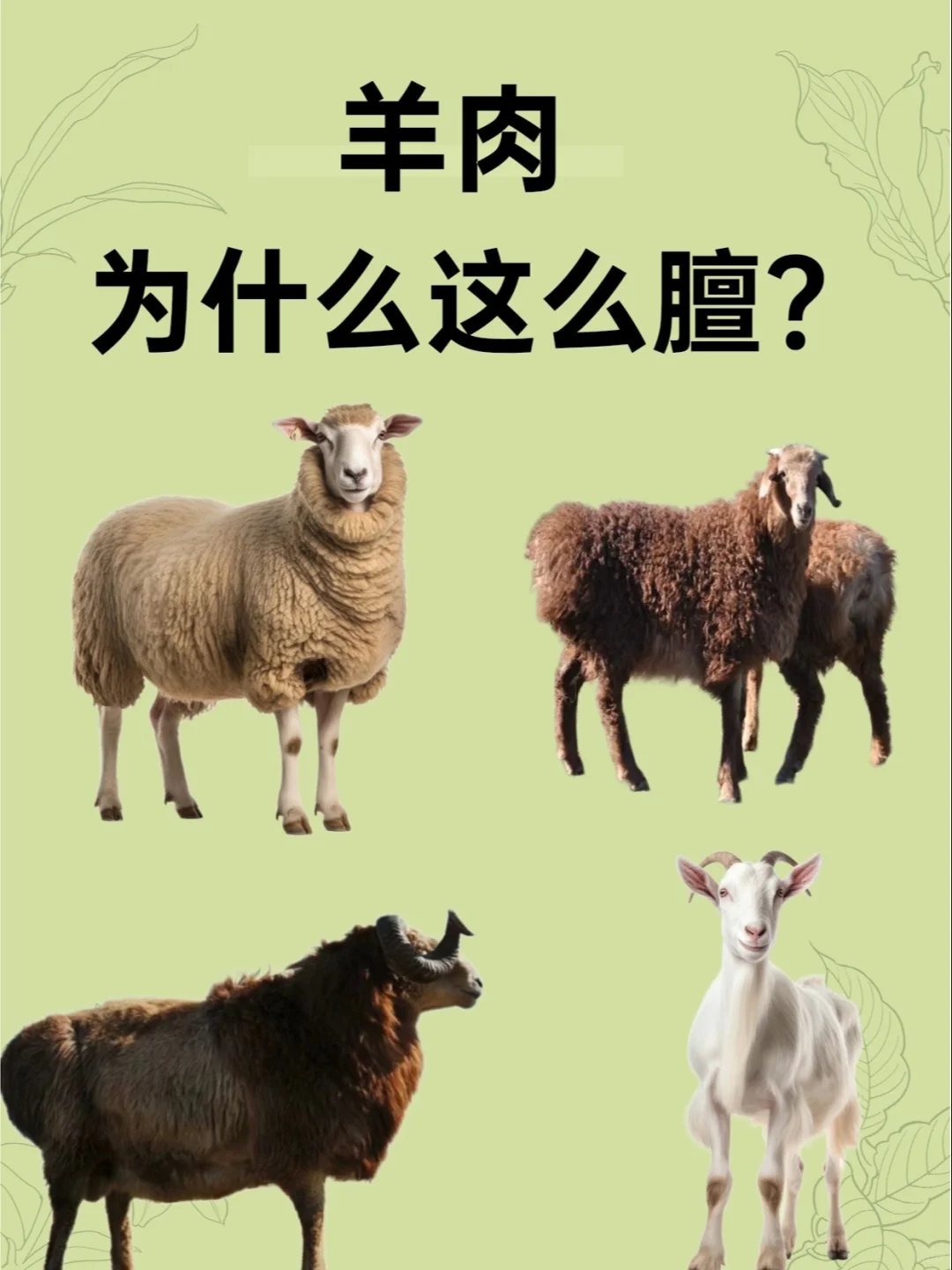 ĺ½һζûеģ