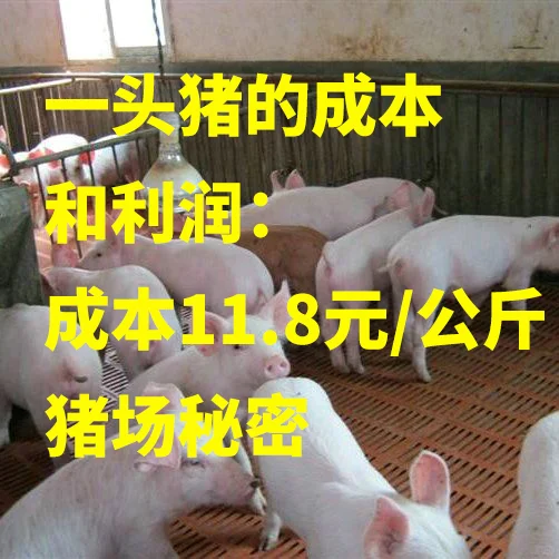 һͷĳɱ󣺳ɱ11.8Ԫ/