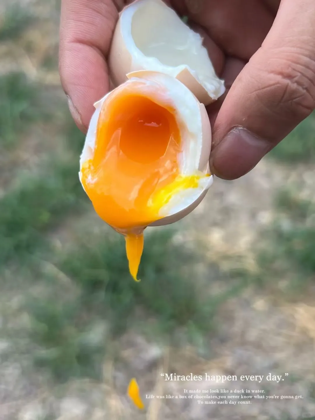 ɢιϣԼ