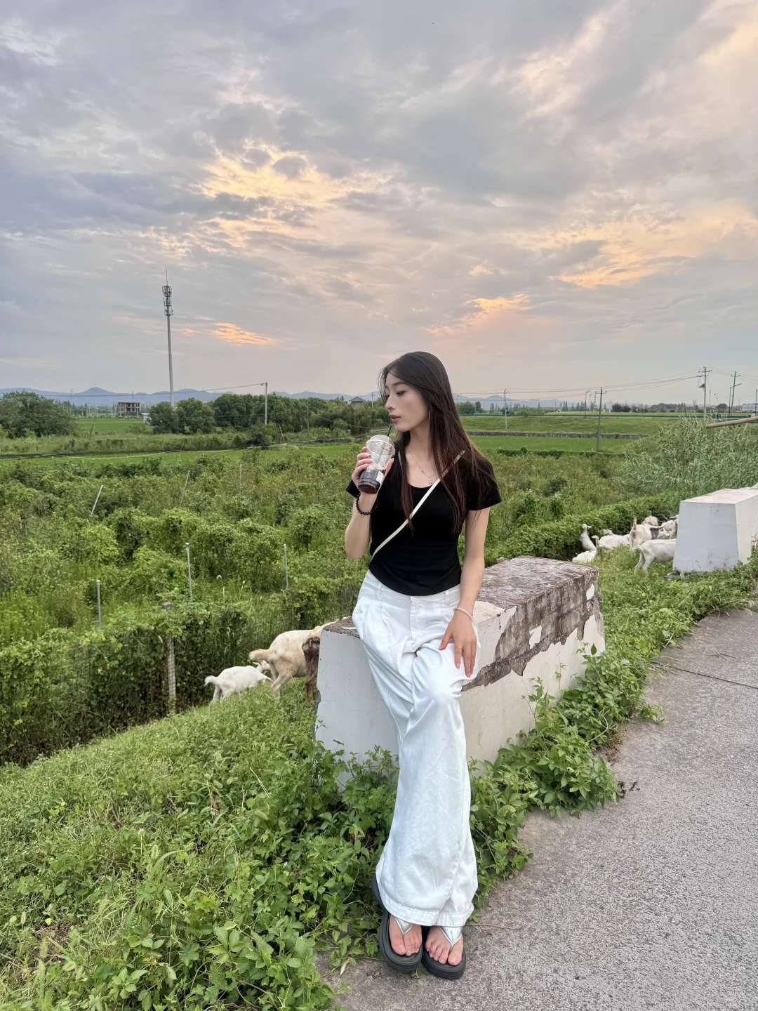 ں˷ݷĹ