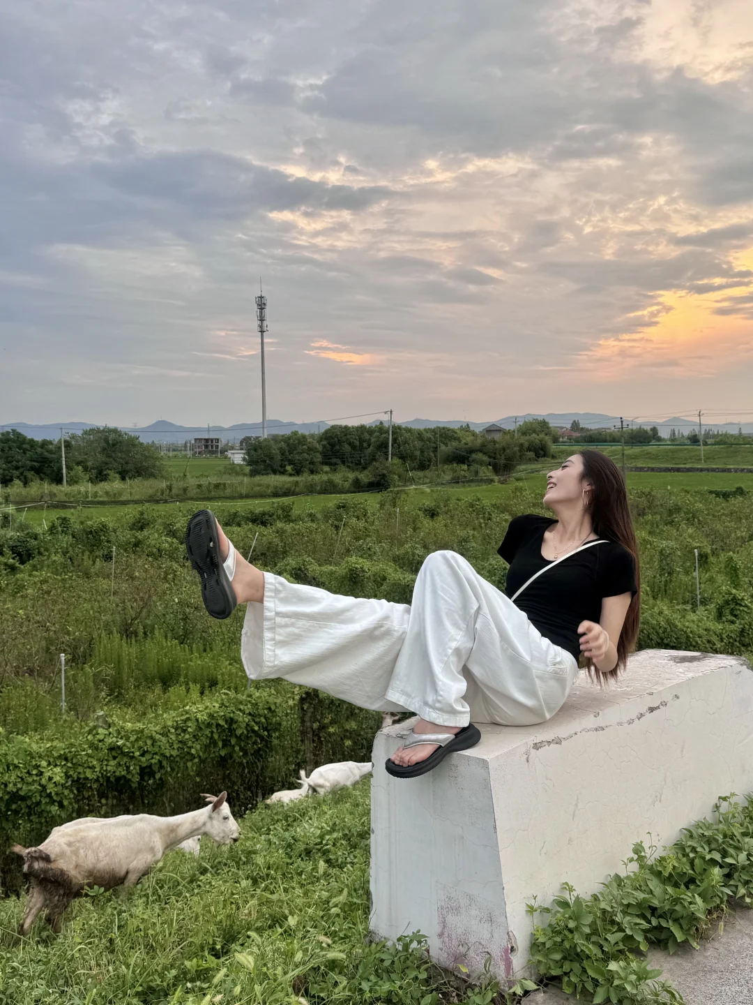 ں˷ݷĹ