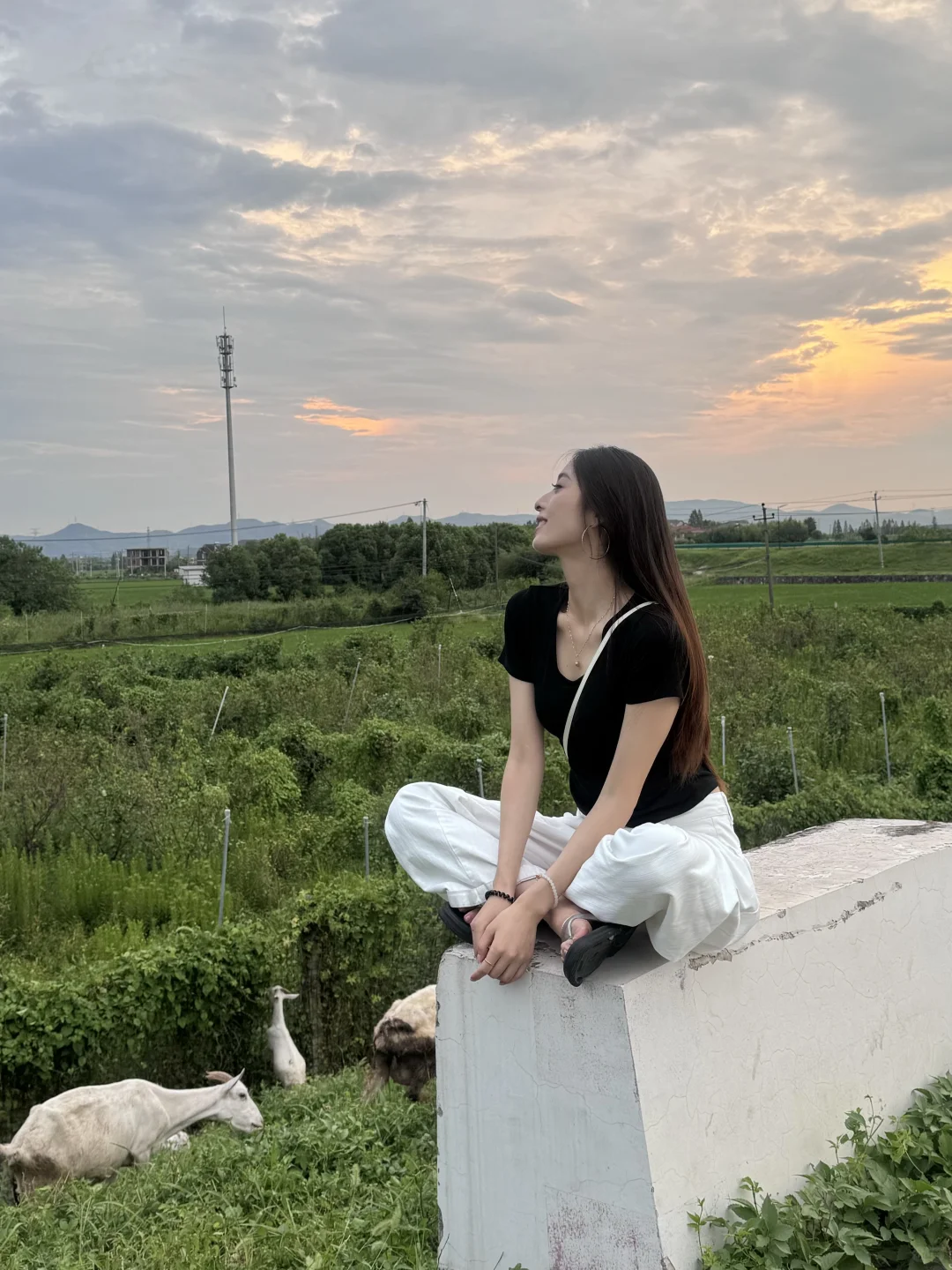 ں˷ݷĹ