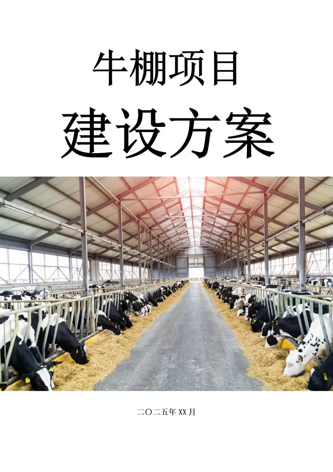 600ͶʵţĿ跽