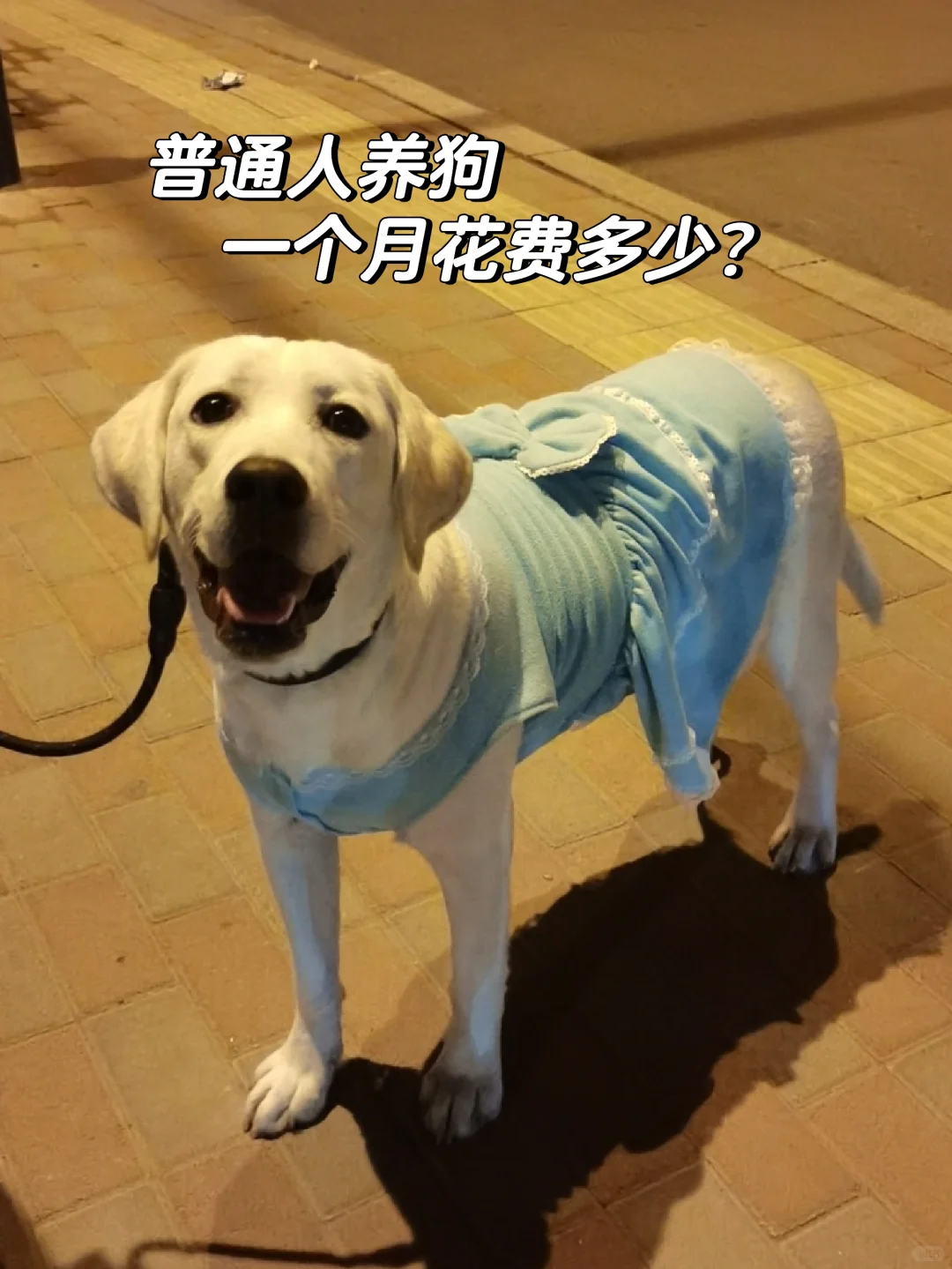 һҪѶǮ