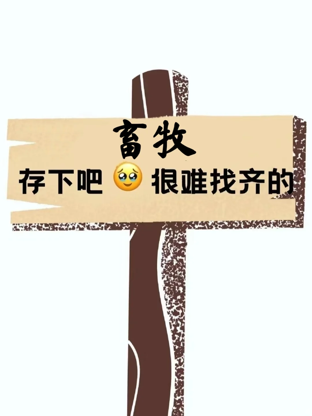 ?רҵıˢ