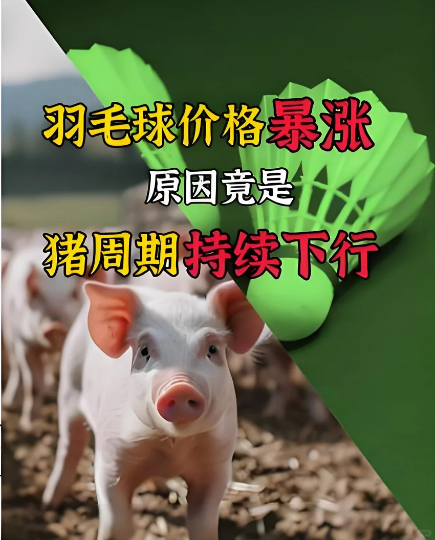 ëΪα۸ǣߣ