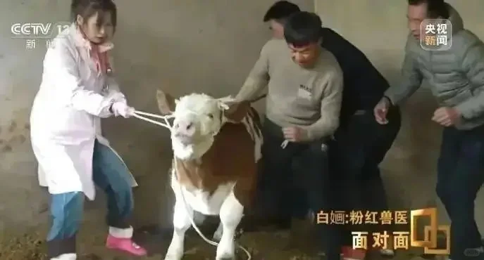 飡ҽ׋OȾɫ