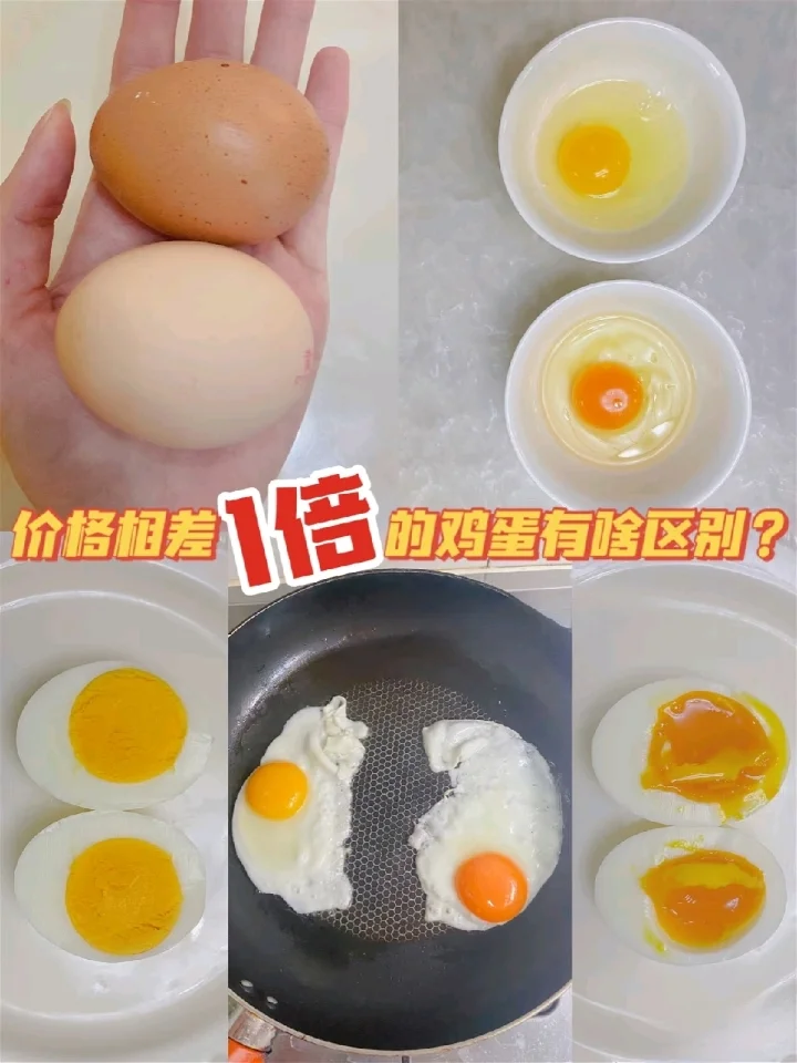 ۸1ļɶ
