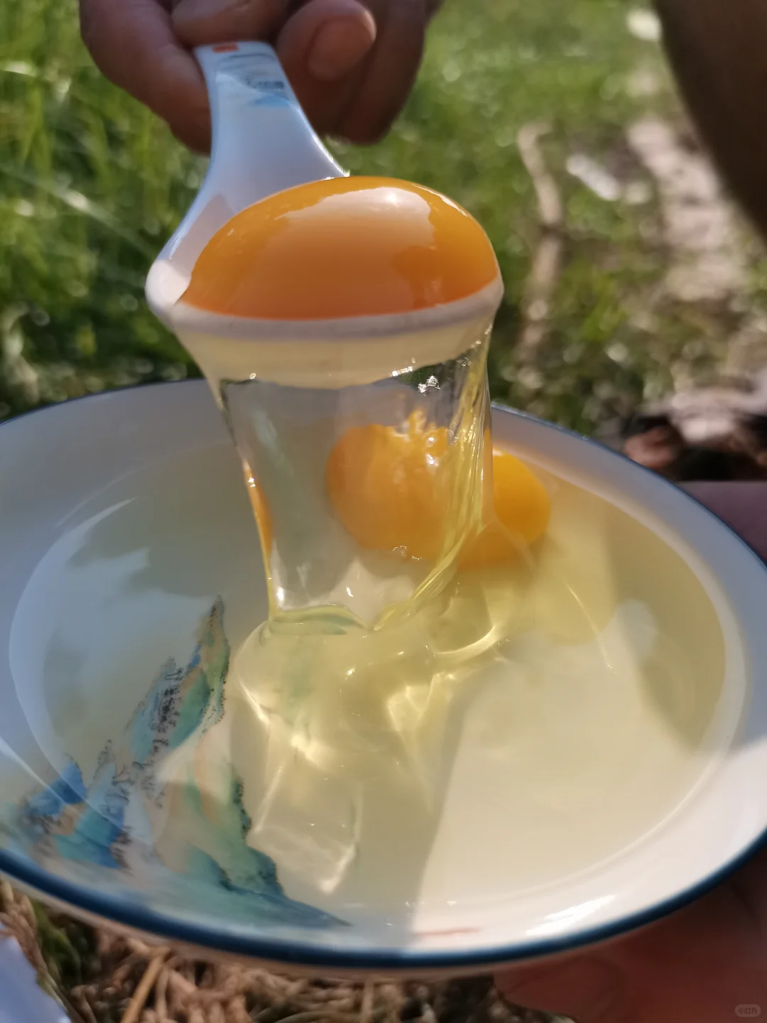 ۸1ļɶ
