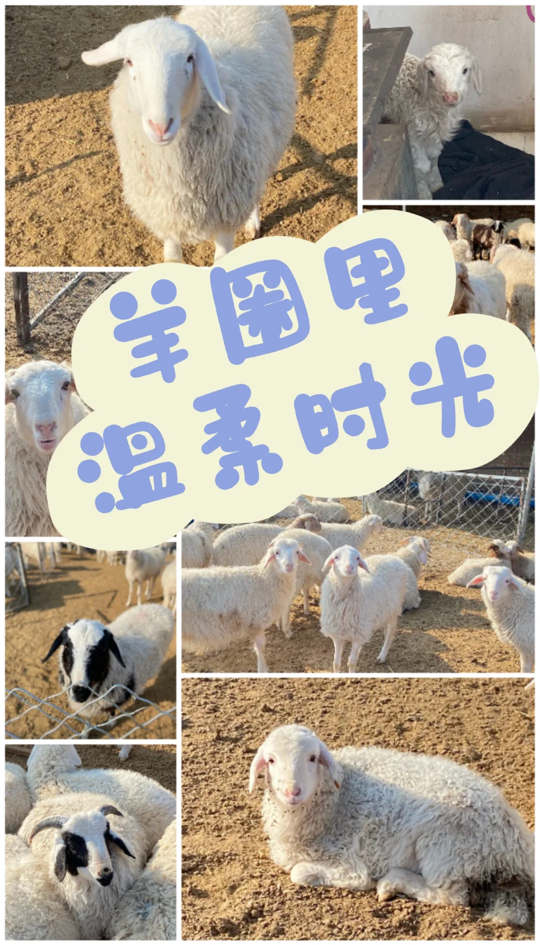 Ȧʱ