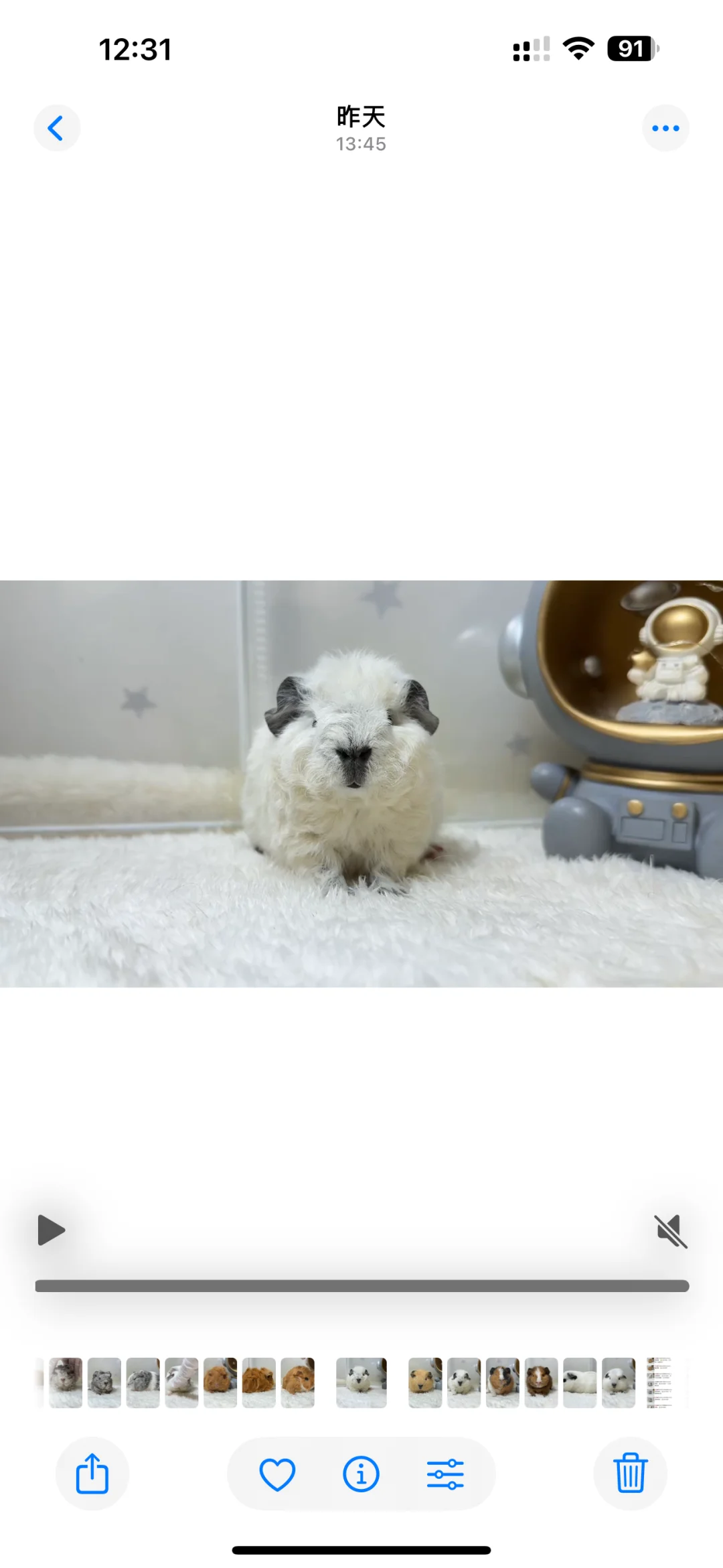 һ��С������Ϯ��??�󻬿���