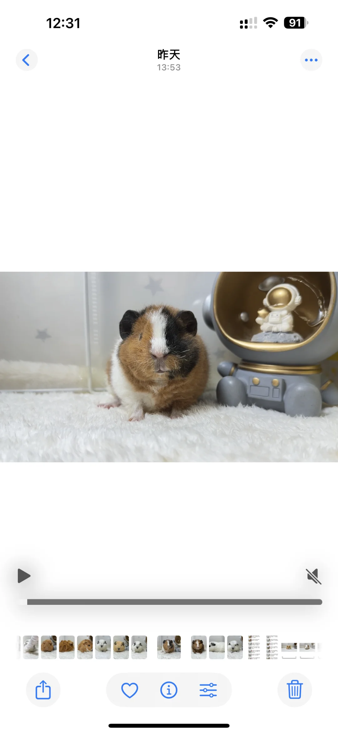 һ��С������Ϯ��??�󻬿���