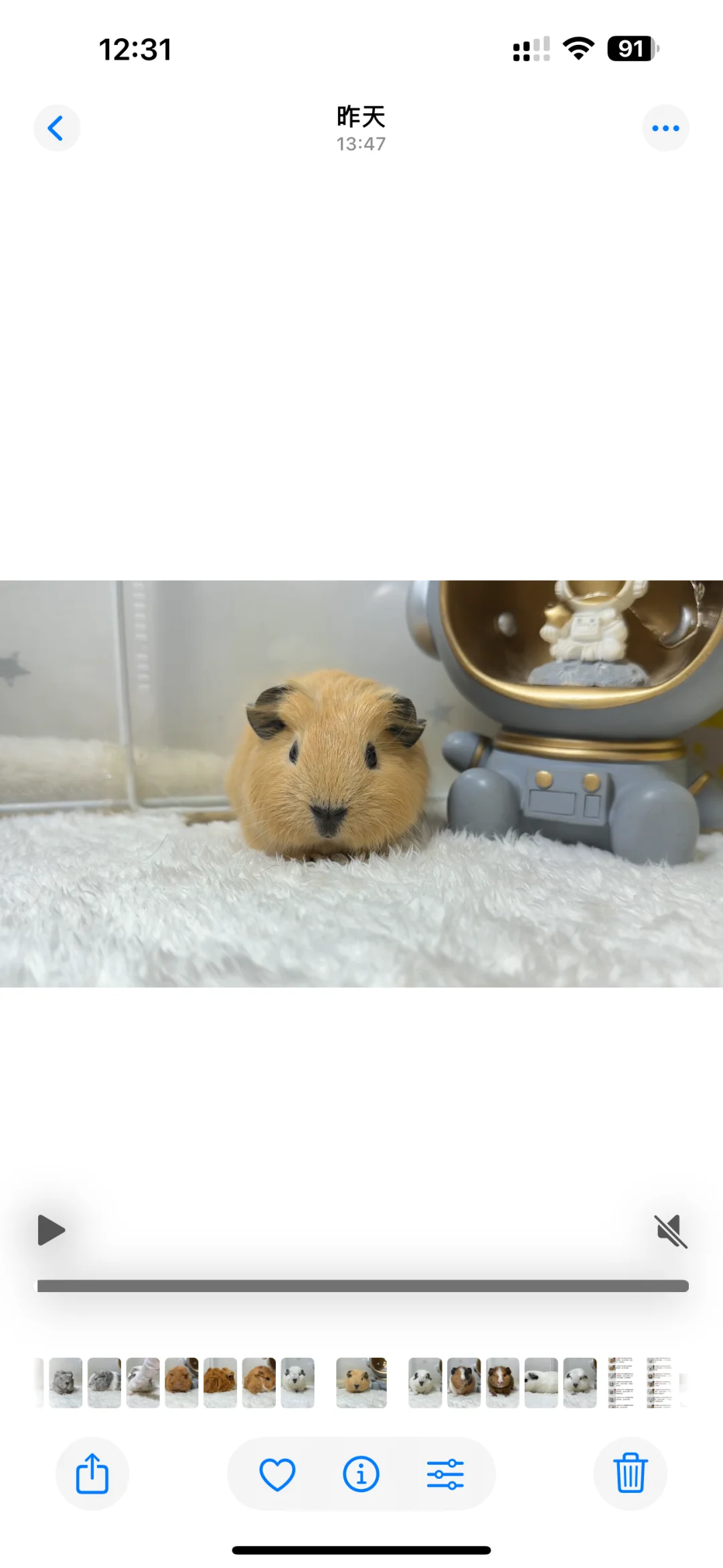 һ��С������Ϯ��??�󻬿���