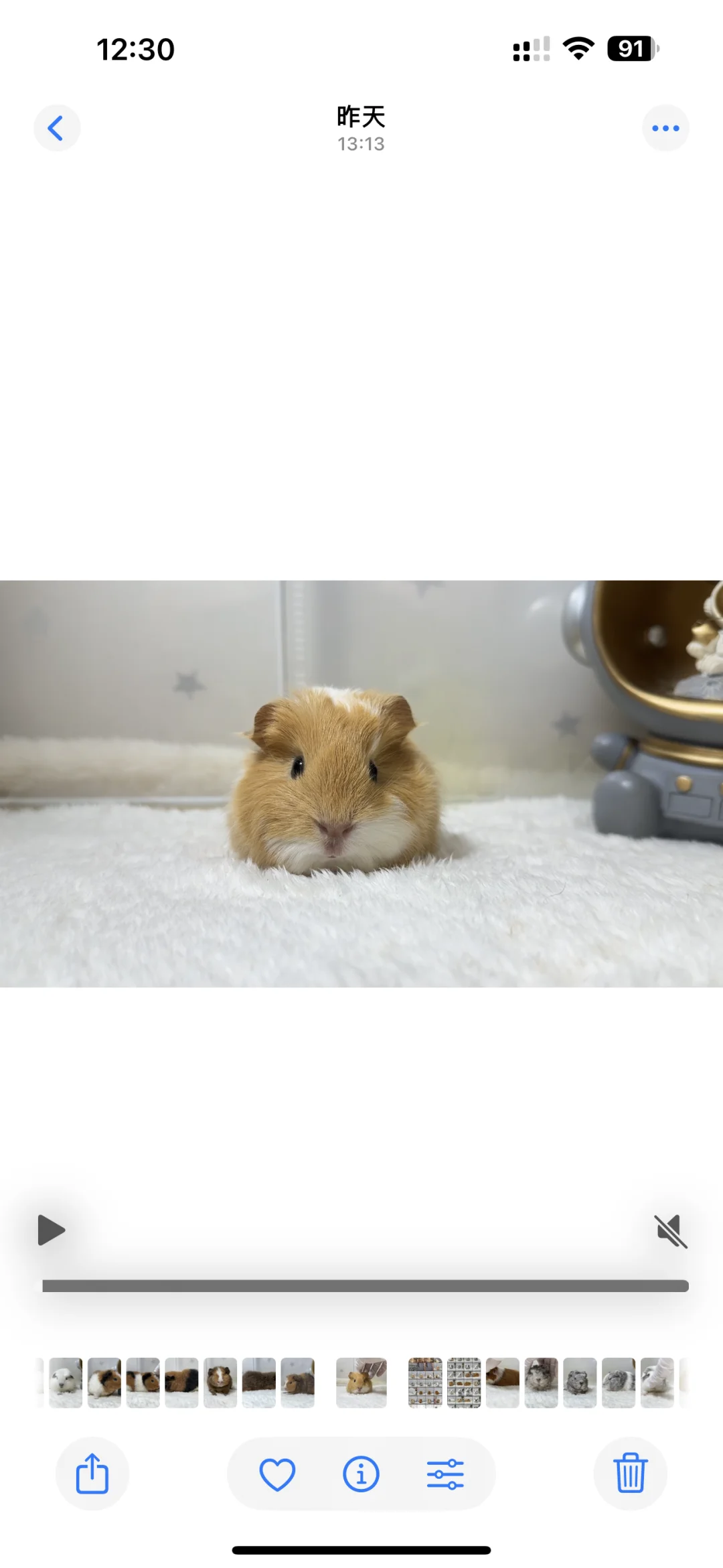 һ��С������Ϯ��??�󻬿���