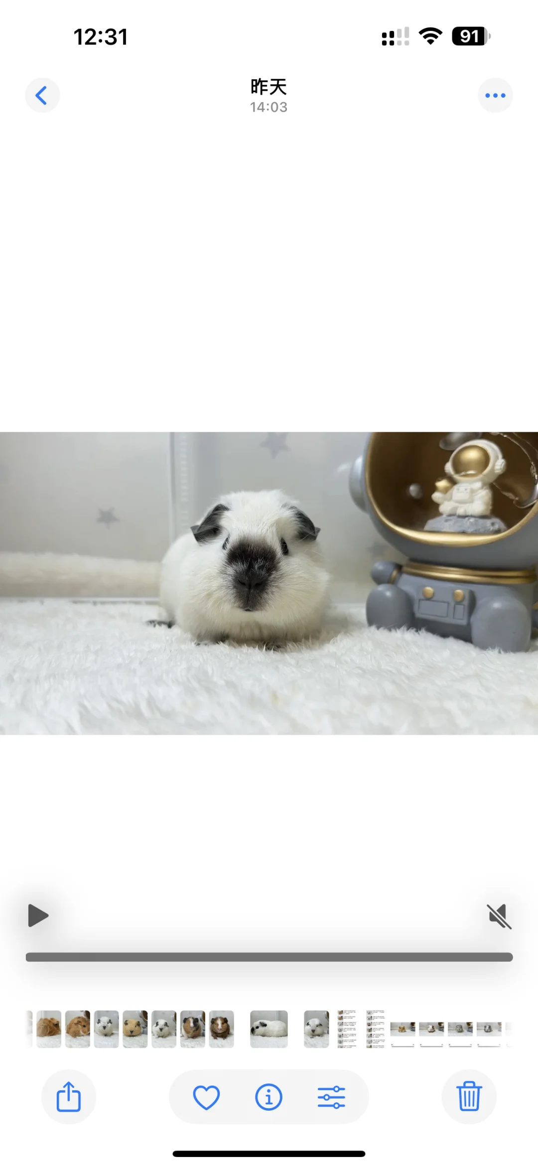 һ��С������Ϯ��??�󻬿���