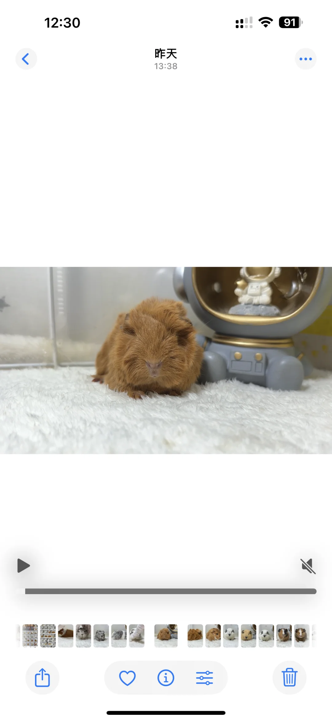 һ��С������Ϯ��??�󻬿���