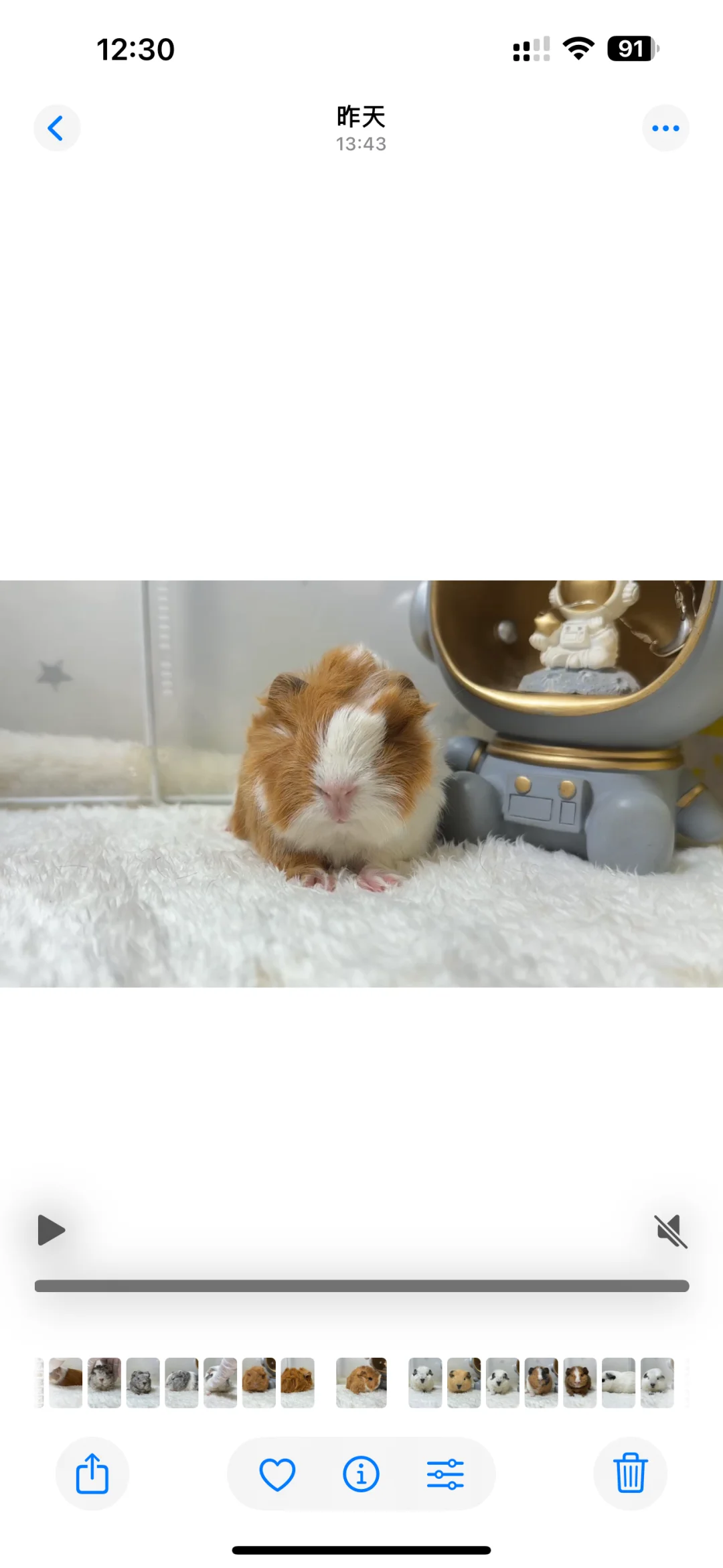 һ��С������Ϯ��??�󻬿���