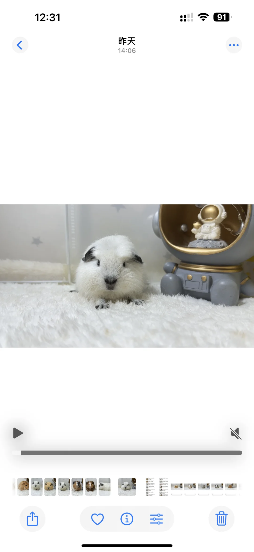 һ��С������Ϯ��??�󻬿���