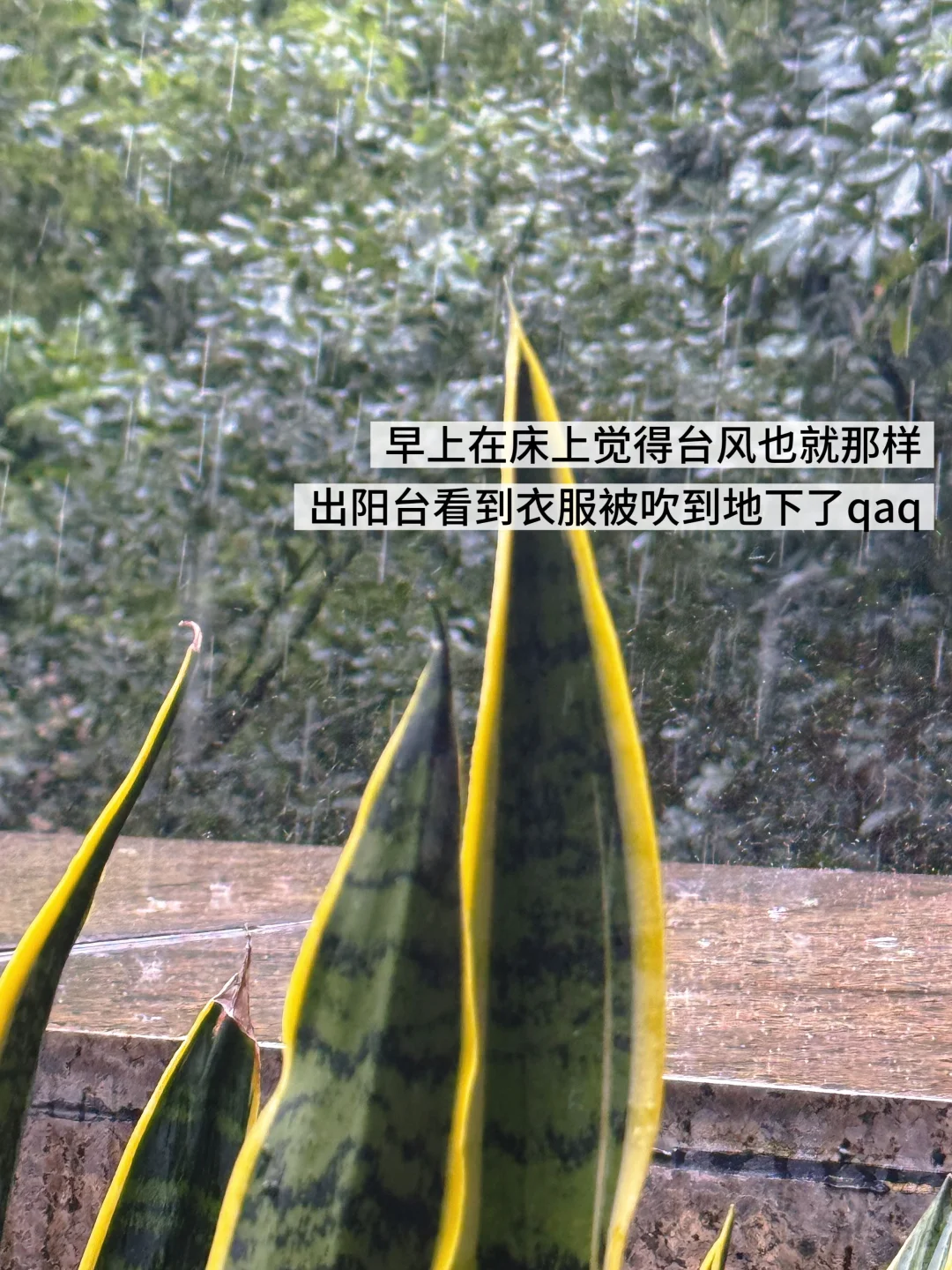 ���ּ�?���߿�Ǯ�Ĳ��ܰ���һ����