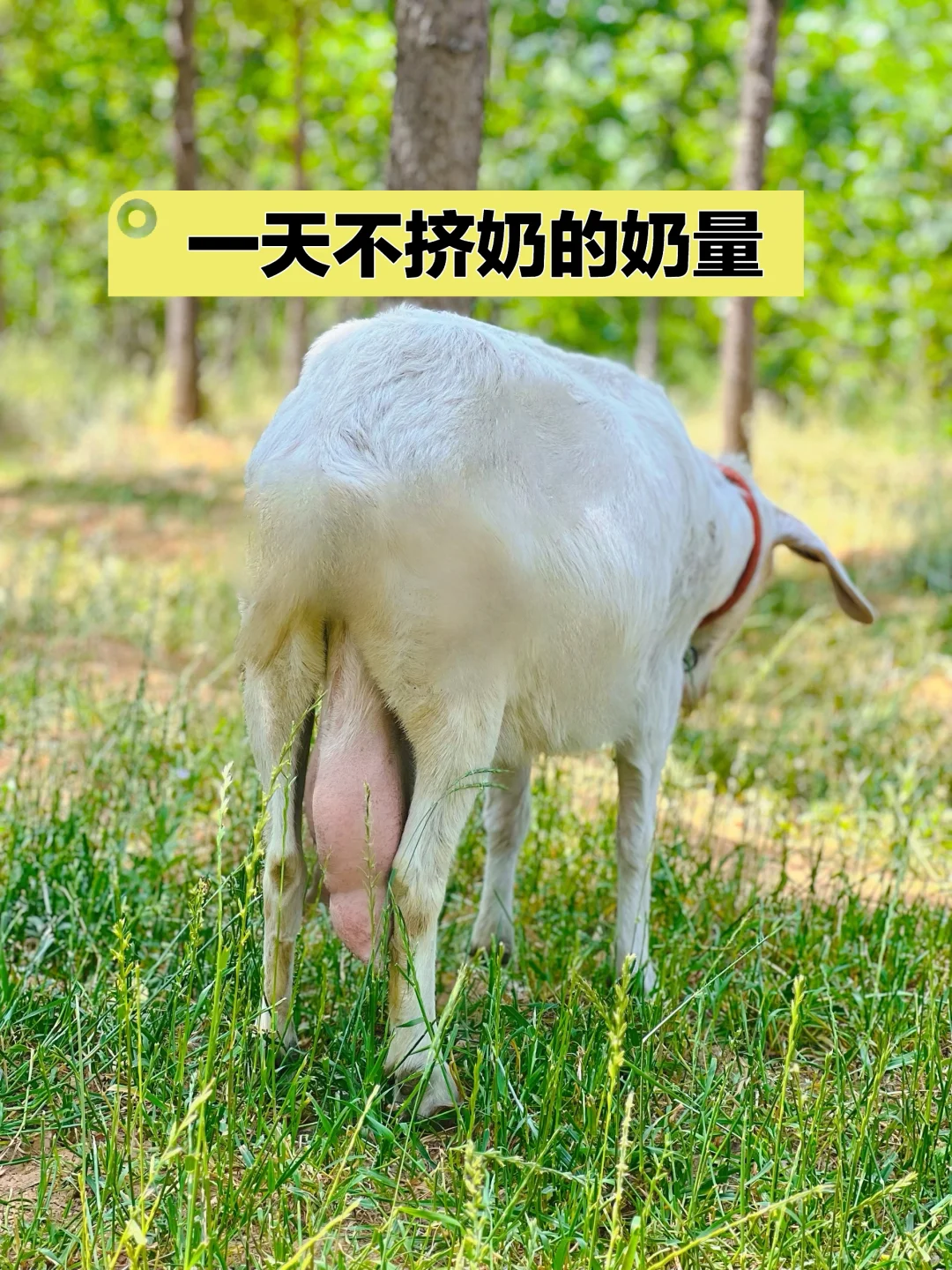 ұУŸһͷ