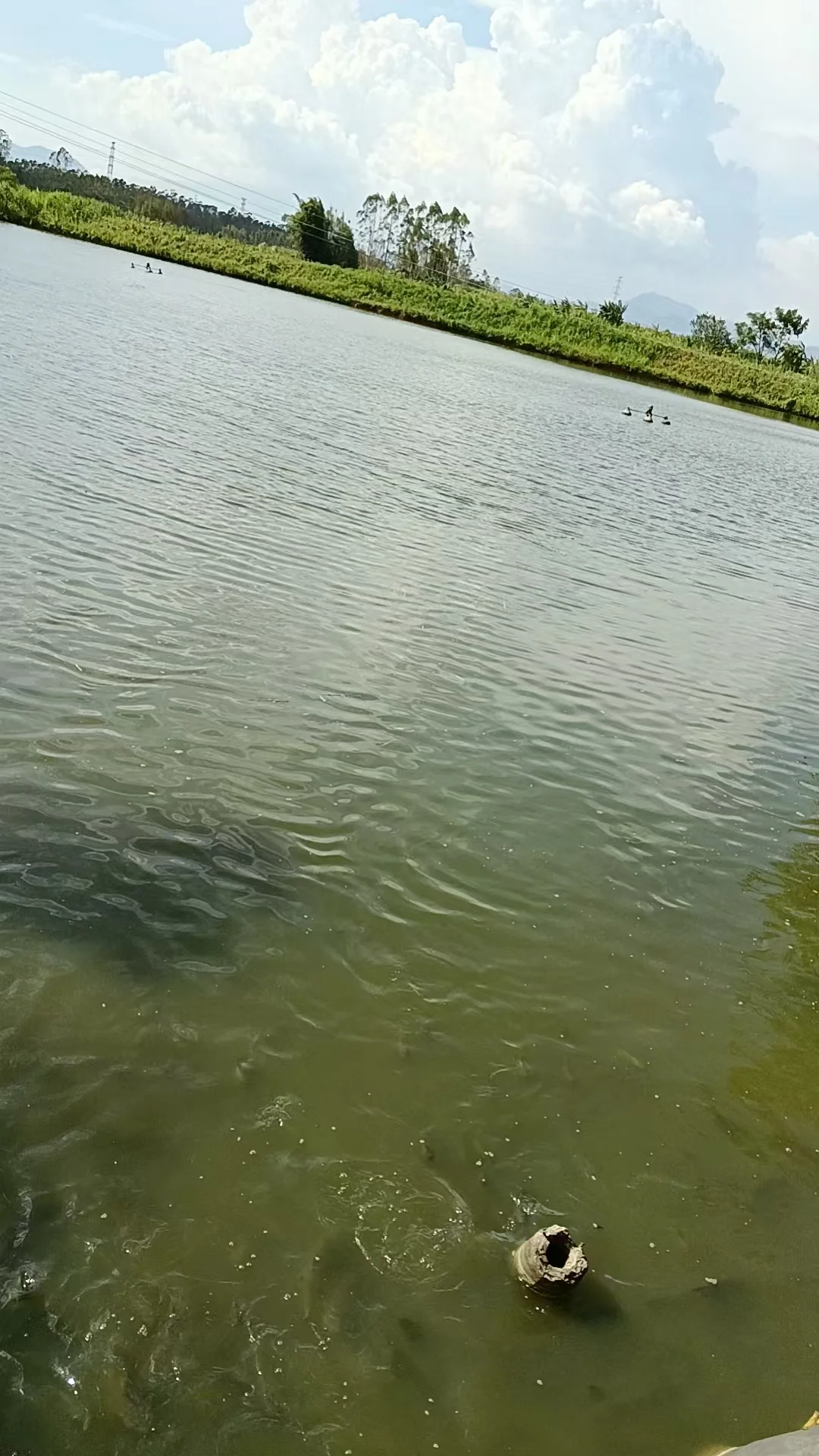 Ŷƽ40Ķֳת