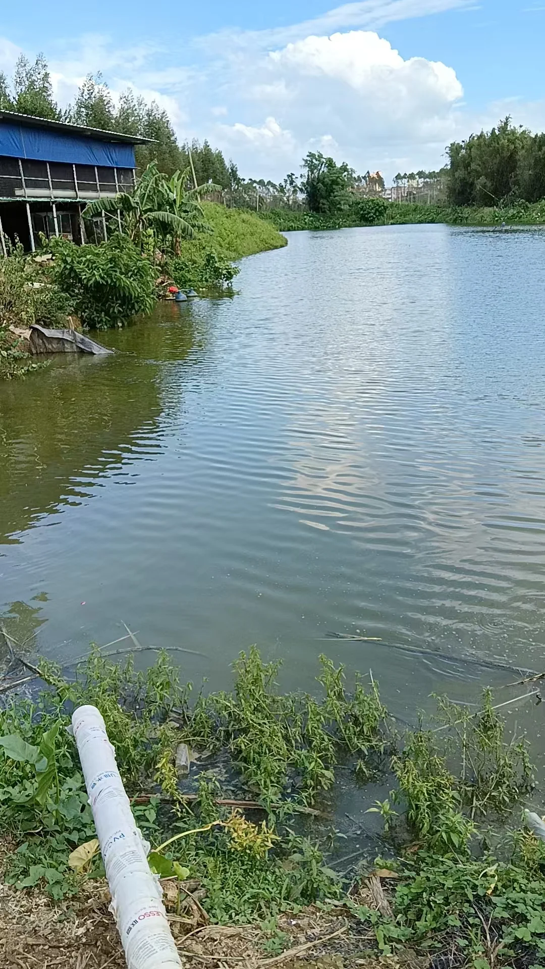 Ŷƽ40Ķֳת