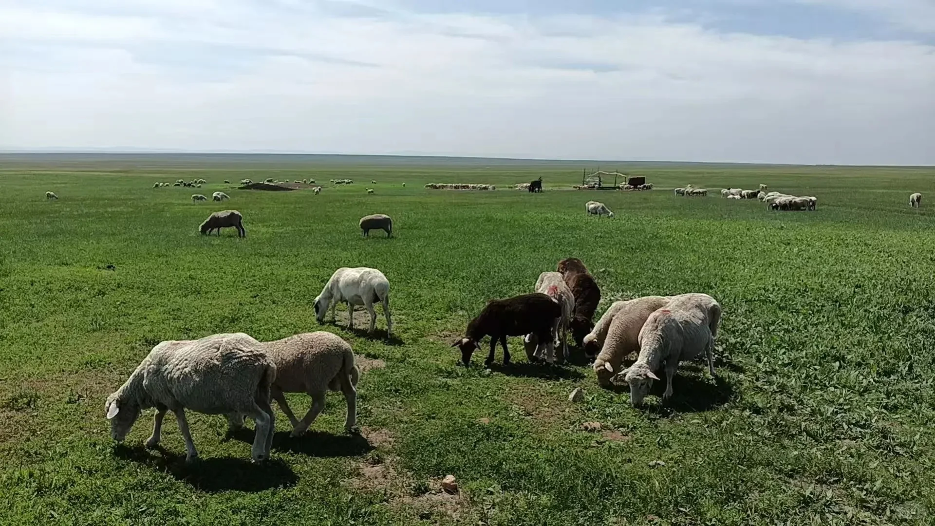 Ⱥþȣȫܹ