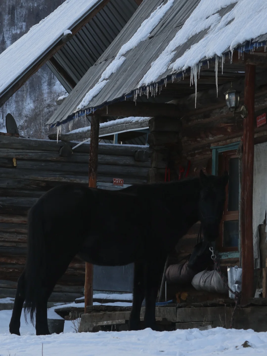 震惊,住进山里一年,原来我花了这么多钱!(上