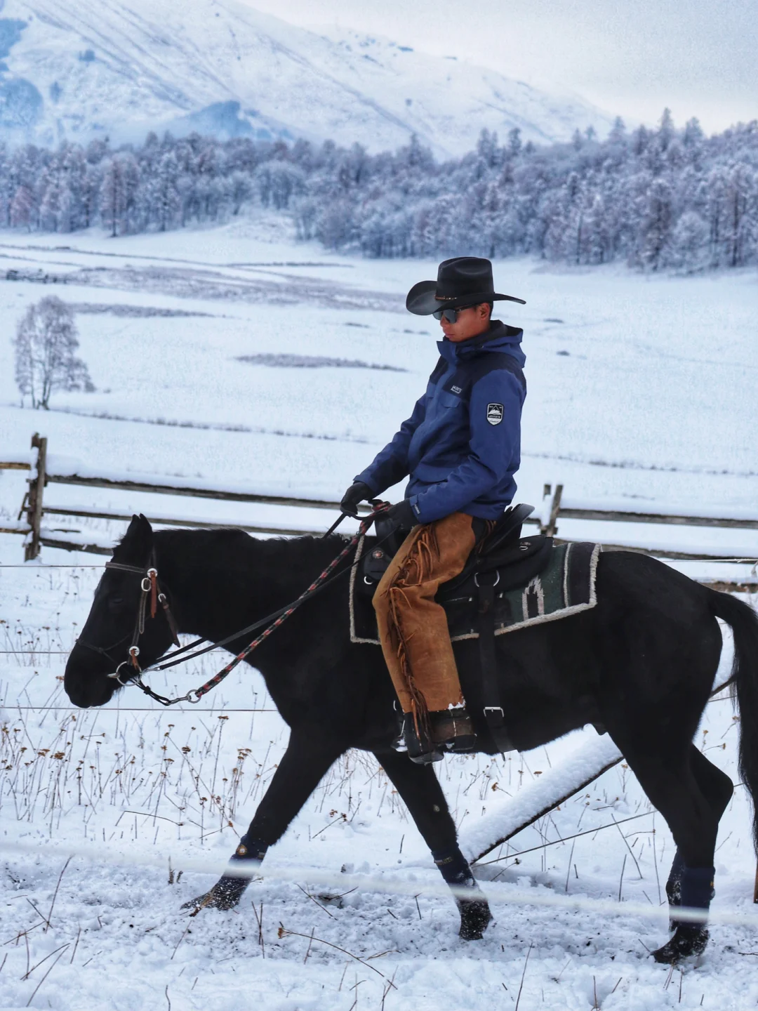震惊,住进山里一年,原来我花了这么多钱!(上