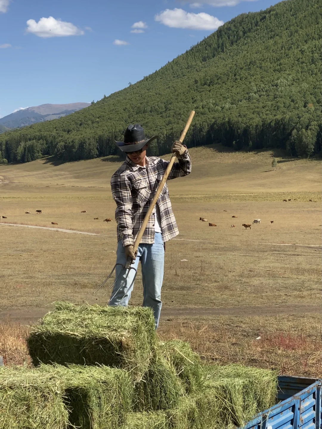 震惊,住进山里一年,原来我花了这么多钱!(上