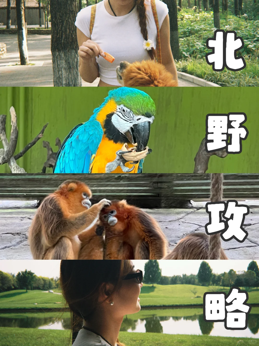 Ұ԰ôнٷ?԰棩