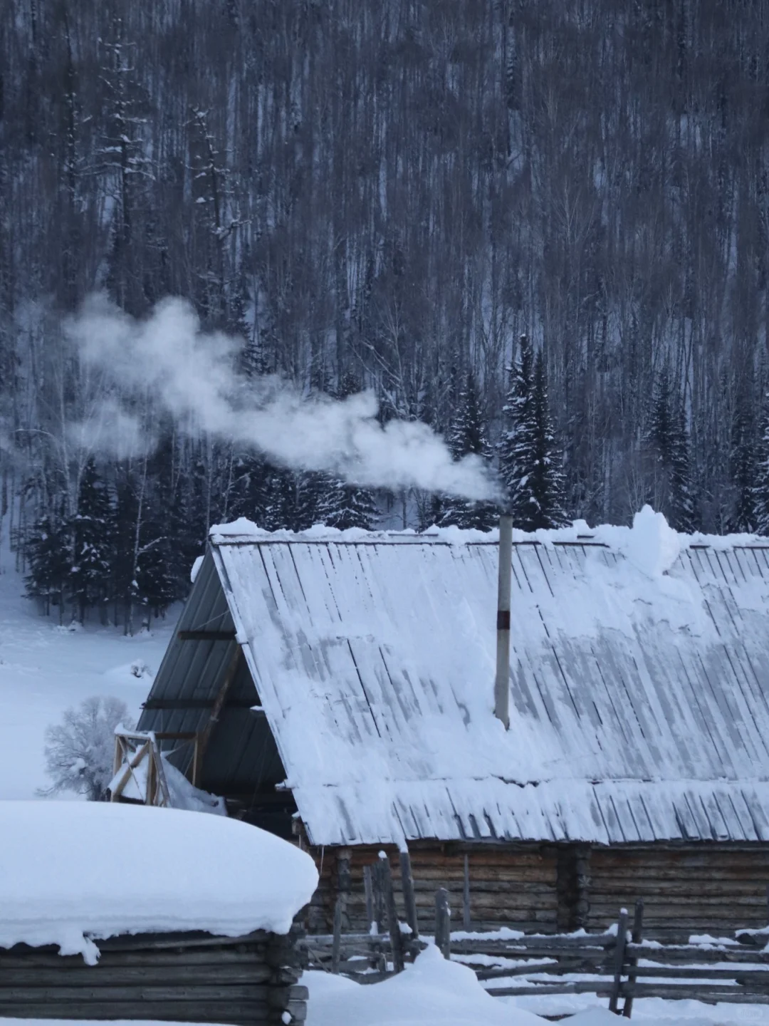 震惊,住进山里一年,原来我花了这么多钱!(上