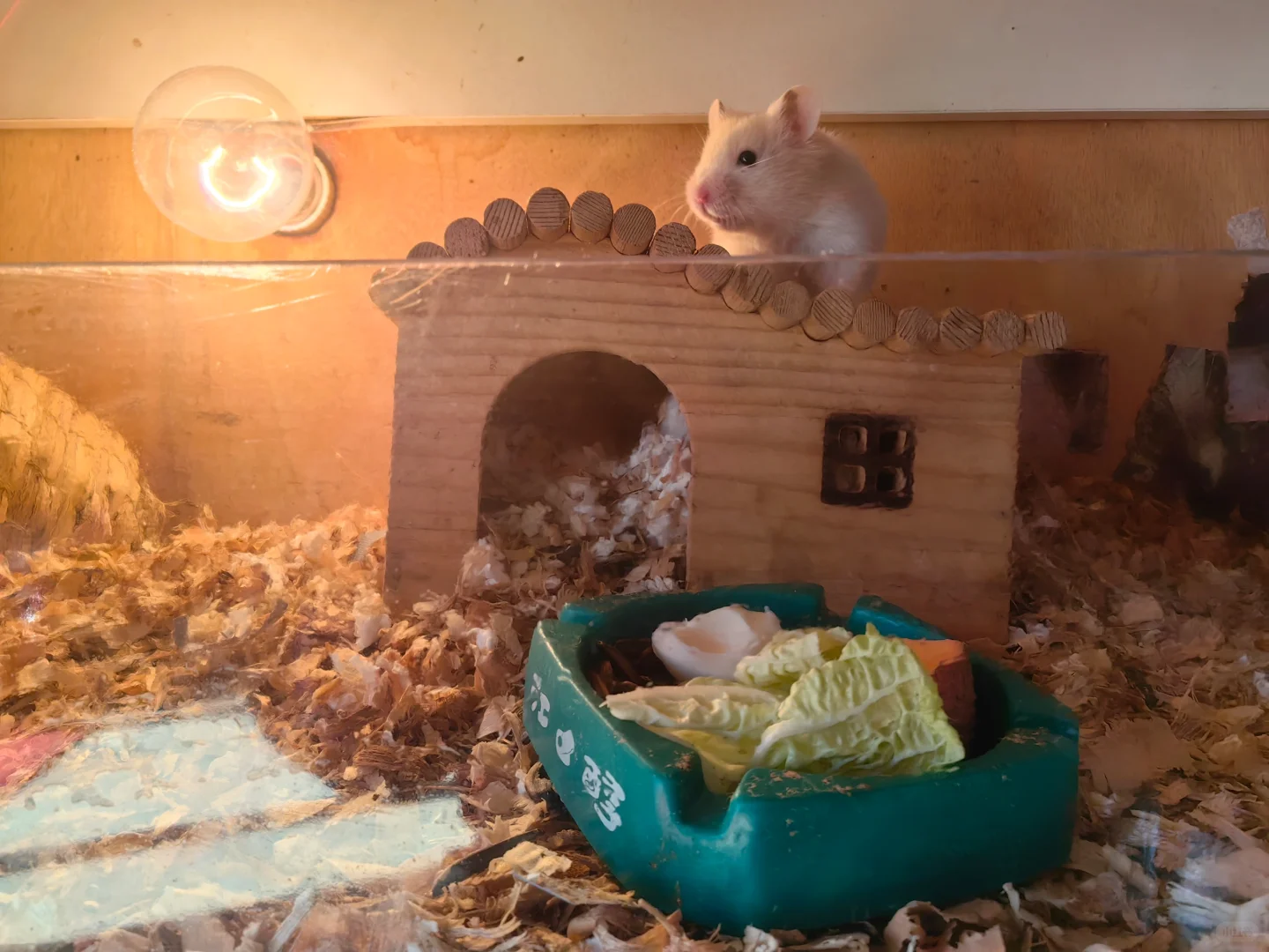 Ϊʲô˵ũԴ˵Ǵӣ