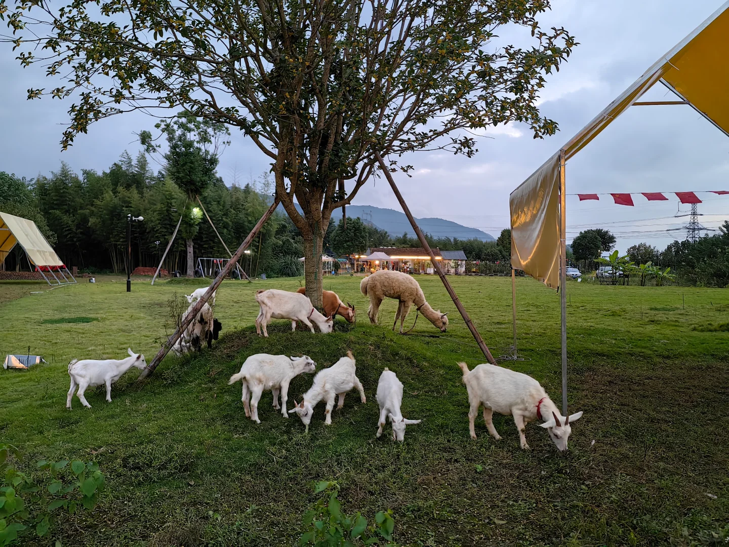 Ϊʲô˵ũԴ˵Ǵӣ