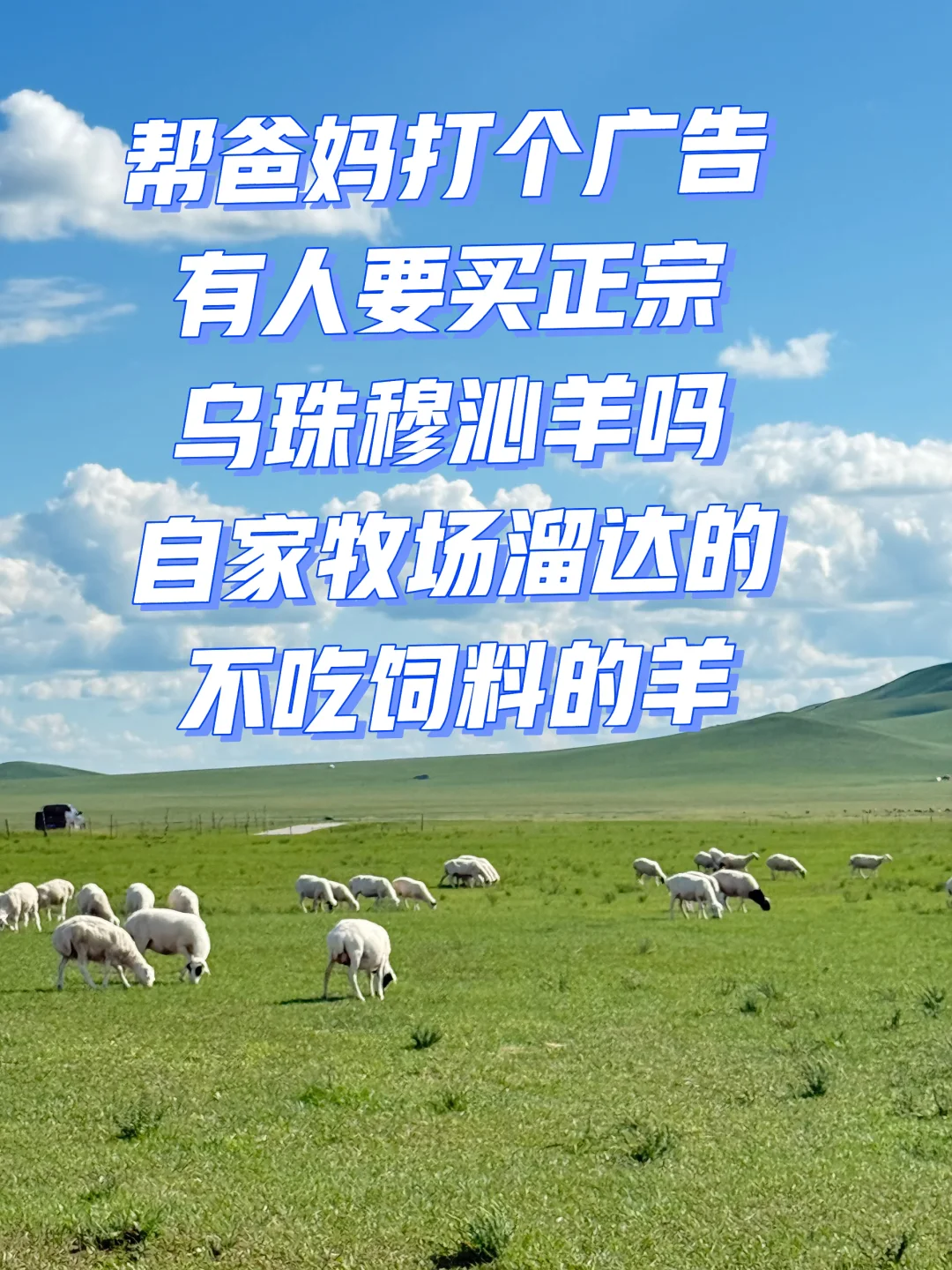 һϲԣһ٣